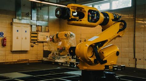 Image result for Robotisation