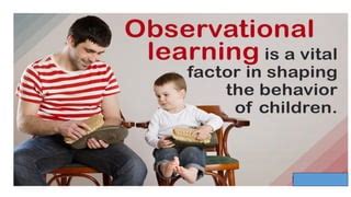 Image result for Observational Learning Theory