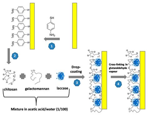 Biosensors | Special Issue : Polymers-Based Biosensors