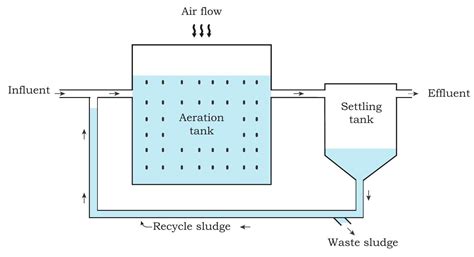 SATHEE: Chapter 11 Bioremediation
