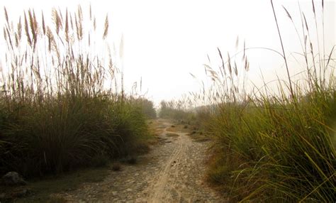 Ganga Canal Bicycle Birding : Bumpy Trail Bicyclists