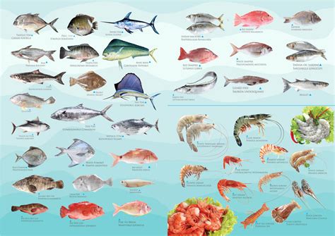 Seafood Pride International