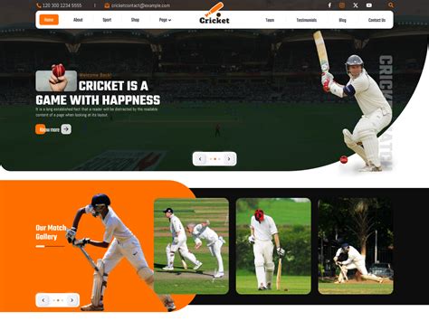 Free Cricket WordPress Theme | Ideal for Sports Events and News