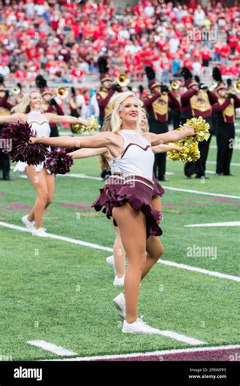 Image result for Texas State Strutter Image