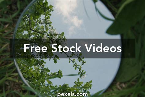 Image result for Environmental Clips