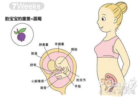 怀孕40周胎儿发育图_怀孕十个月胎儿发育过程图_孕妇常识_怀孕_太平洋亲子网