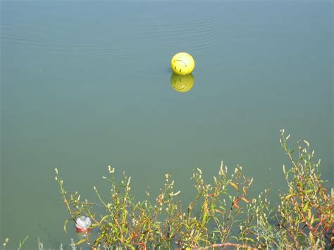 Elevation of Lubbock County, TX, USA - Topographic Map - Altitude Map