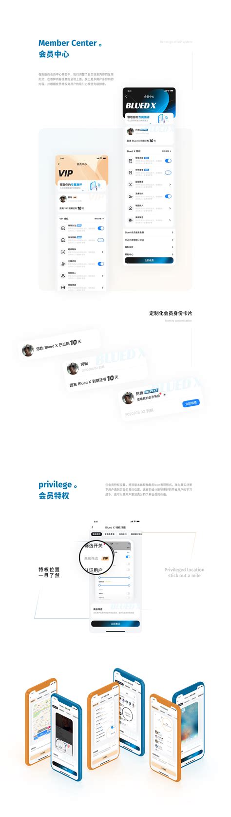 Member System 的图像结果