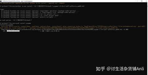 Pygame Installation Tutorial 的图像结果