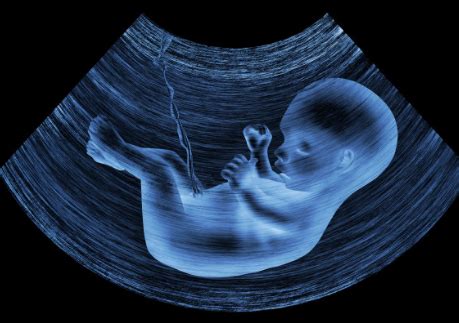 胎儿在子宫内缺氧会有什么后果 胎儿缺氧会有哪些表现 _八宝网