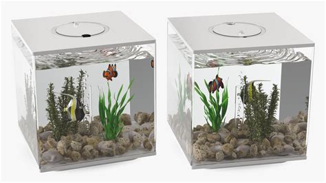 Fish Tank White Cube 3D - TurboSquid 2134049