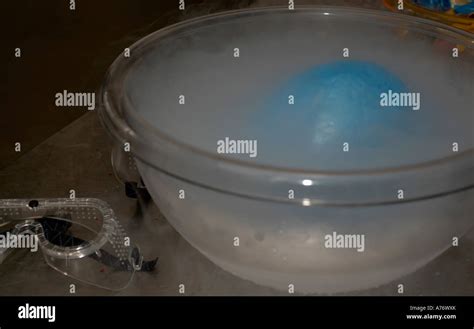 Primary Science 的图像结果