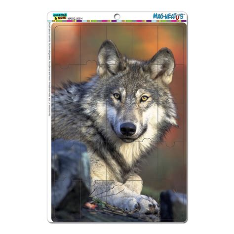 Graphics and More Gray Wolf with Fall Background Mag-Neato's Novelty ...