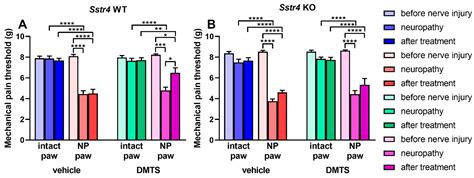 Dimethyl Trisulfide Diminishes Traumatic Neuropathic Pain Acting on ...
