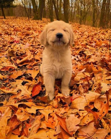 Regina Brandle Ludtke