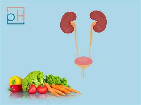 Interstitial Cystitis Diet: What to Eat & What to Avoid | PrimeHealth ...