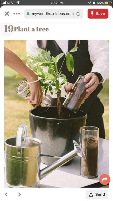 Image result for Unity Tree for Weddings