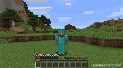 Image result for How to Put Armor On Any Mob Java