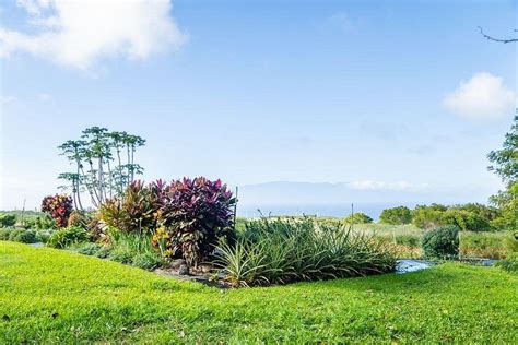 LOKAHI GARDEN SANCTUARY - All You Need to Know BEFORE You Go (with ...