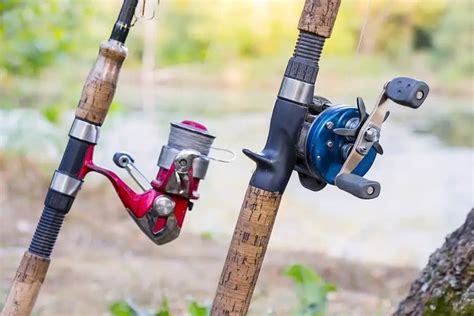 Image result for Fishing Rod Types
