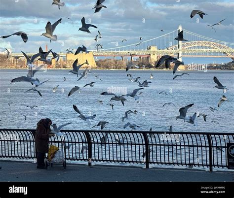 January 4, 2024, New York, New York, USA: A ninety year old woman feeds ...