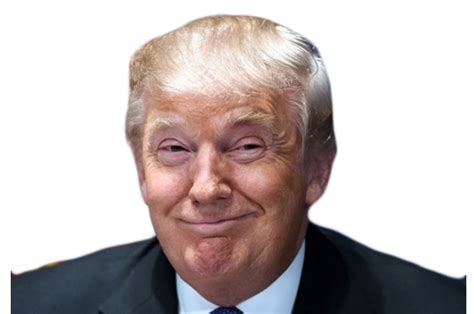 Trump Head Png Transparent Background - Select an image and choose a ...