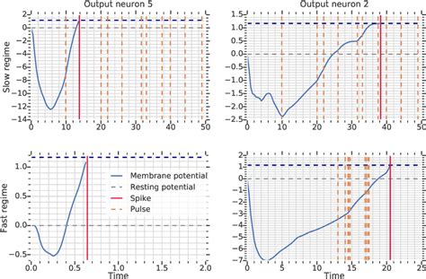 Image result for Neural Coding