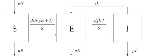 Cooperative Learning Model 的图像结果