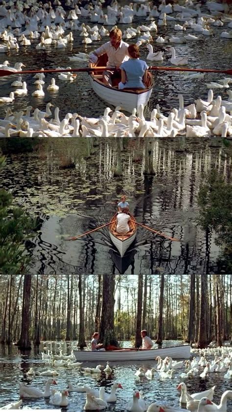 Image result for The Notebook Lake Scene