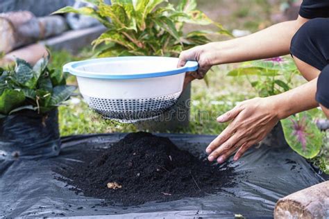 Compost/Soil 的图像结果