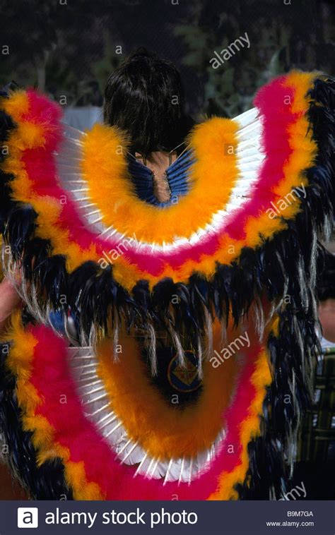 Native Dancer 的图像结果