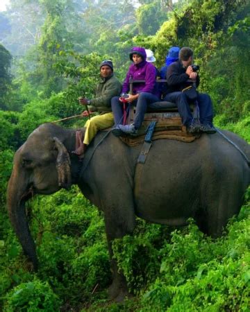 Home - Pashupati Tourism