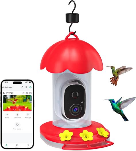 Amazon.com : DOCOON Hummingbird Feeder with Camera, Bird Watching ...