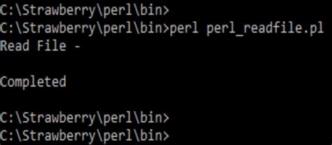 Image result for Perl File
