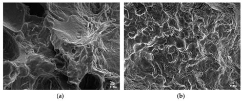 Application of Machine Learning Using Color and Texture Analysis to ...