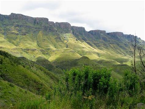 PLUM TREE LODGE (Himeville) - Lodge Reviews & Photos - Tripadvisor