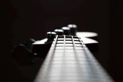 Stringed Instrument 的图像结果