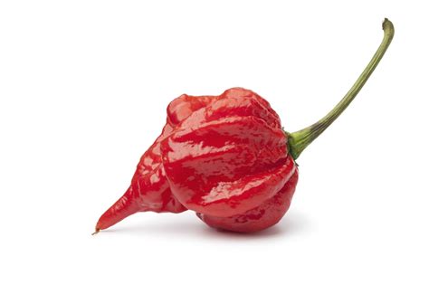 Trinidad Scorpion Pepper Seeds