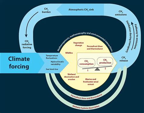 Positive Feedback Loop Earth System 的图像结果