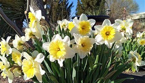 PLEASANT PARKS RV ESTATES (Odessa) - Campground Reviews & Photos ...