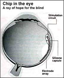 Electronic eye - India Environment Portal | News, reports, documents ...