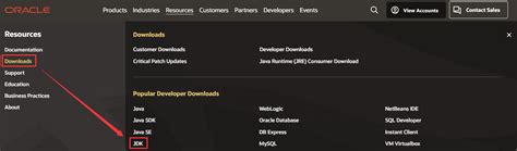 Image result for Download Java JDK 18