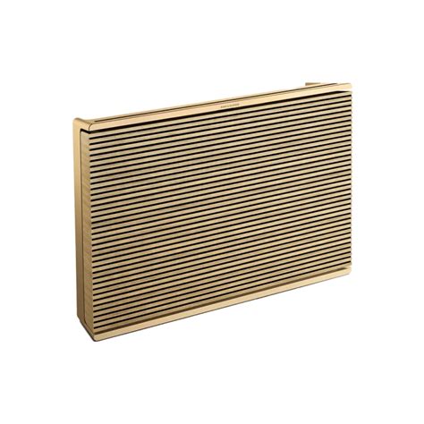 Bang & Olufsen Beosound Level Portable Speaker