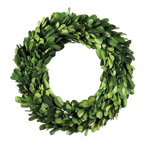 Preserved Mini Boxwood Wreath with Natural Texture & Green Color