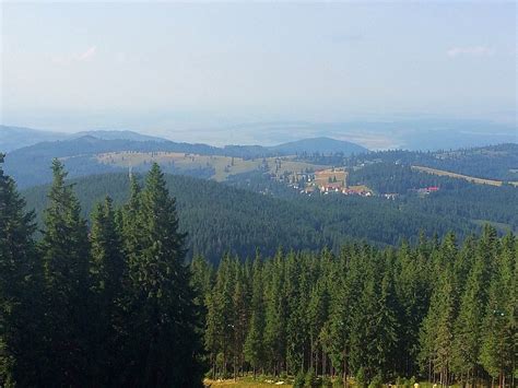 THE BEST Places to Visit in Paltinis (2025) - Must-See Attractions