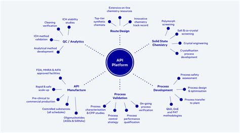 Process System API 的图像结果