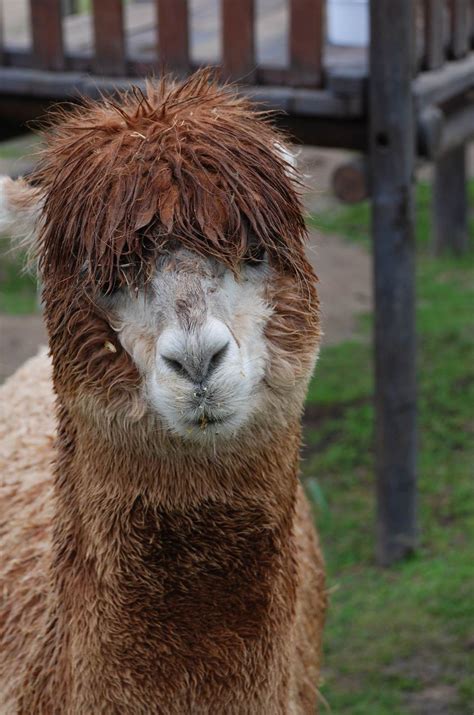 A winter getaway at Oude Denneboom in Paarl