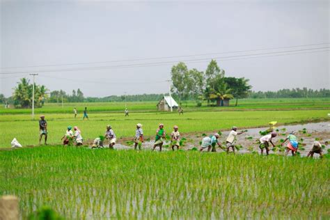 The Wire: The Wire News India, Latest News,News from India, Politics ...