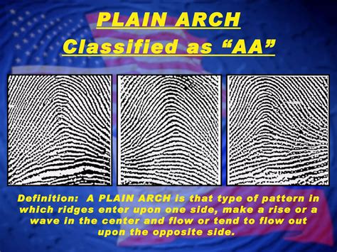 Fingerprint Classification - Arch Patterns | PPT