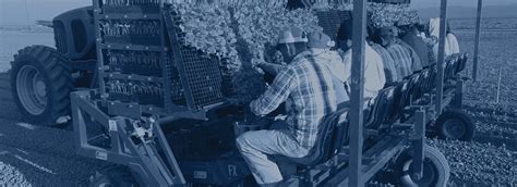 Image result for Ferrari Transplanter